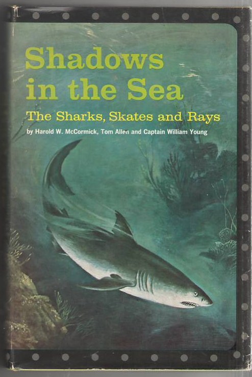 Image for Shadows in the Sea: The Sharks, Skates and Rays