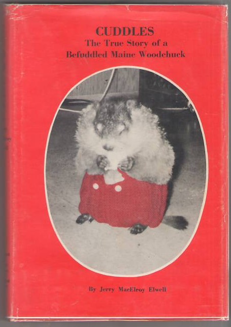 Image for Cuddles: The True Story of a Befuddled Maine Woodchuck