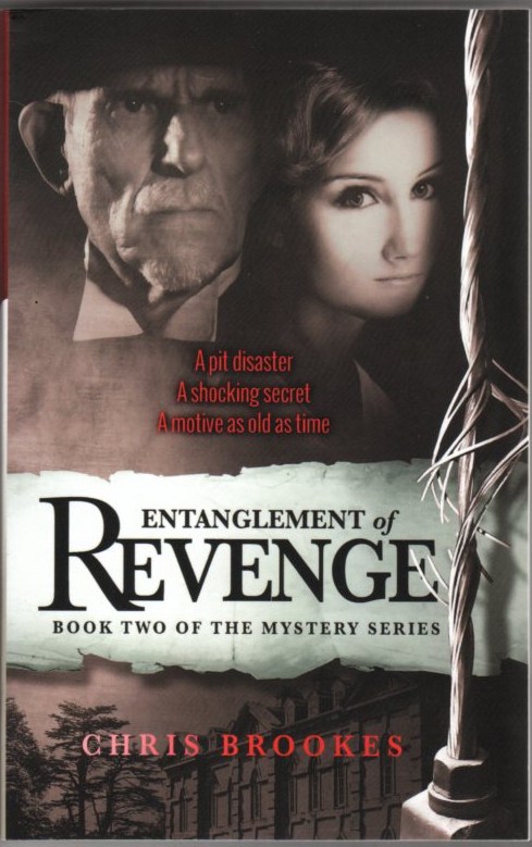 Image for Entanglement of Revenge: Book Two of the Mystery Series