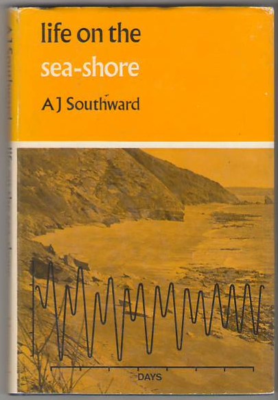 Image for Life on the Sea Shore