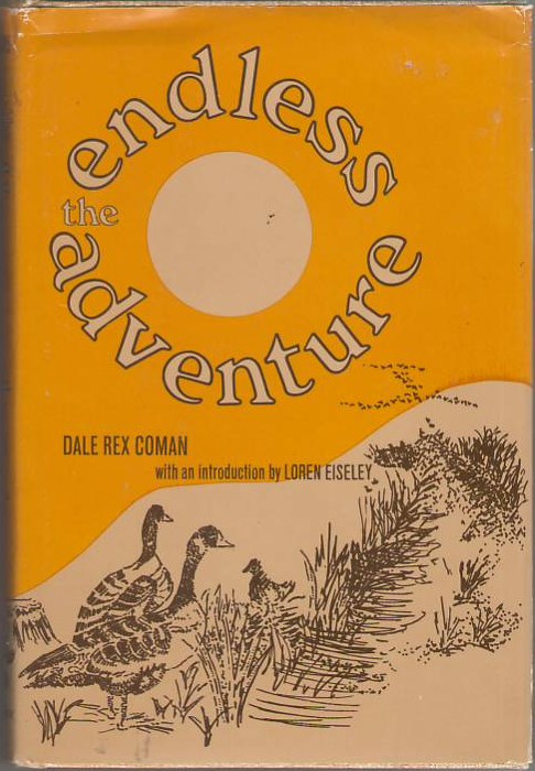 The Endless Adventure Image for The Endless Adventure
