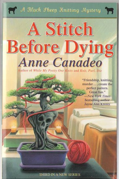Image for A Stitch Before Dying