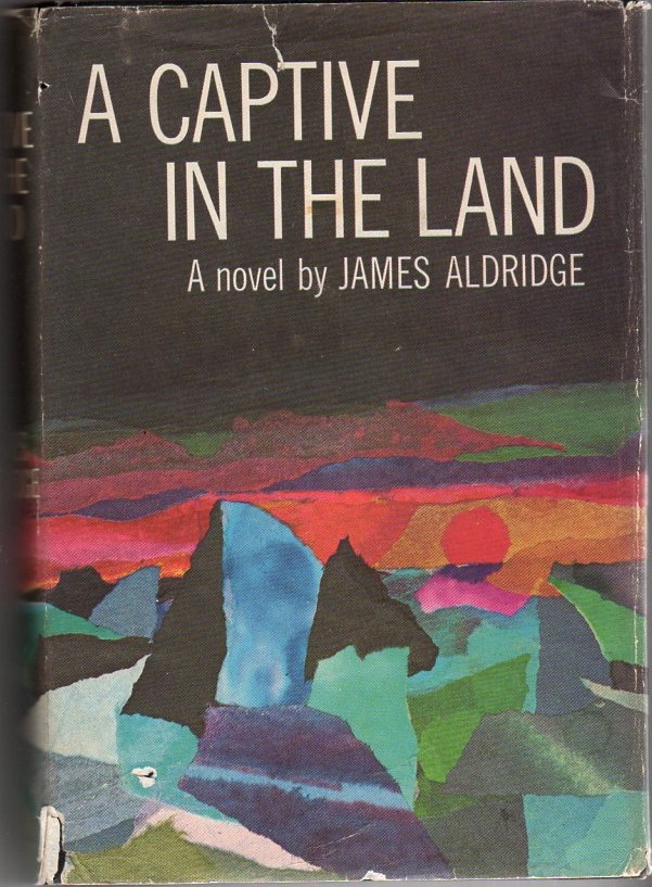 Image for A Captive in the Land