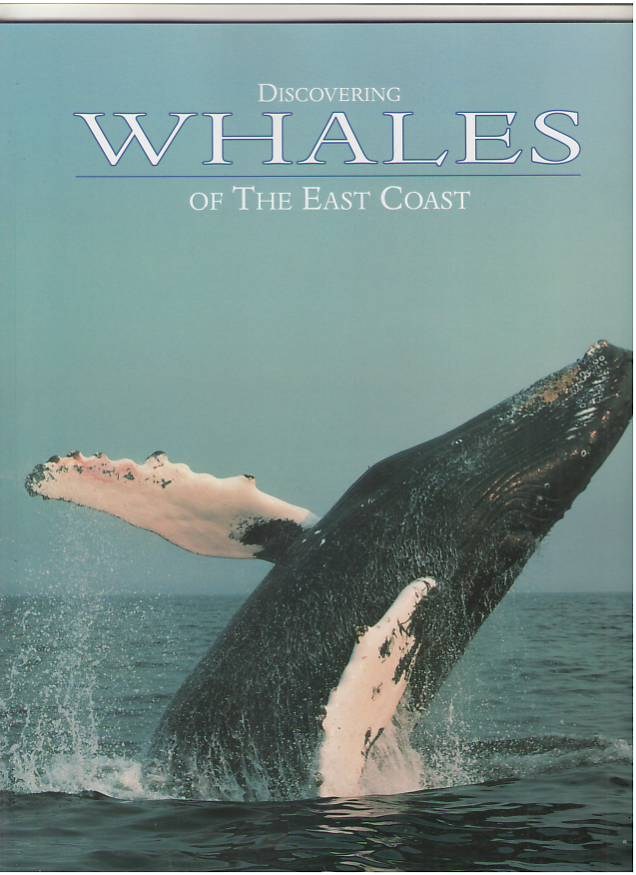 Image for Discovering Whales of the East Coast