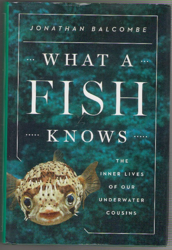 Image for What a Fish Knows: The Inner Lives of Our Underwater Cousins