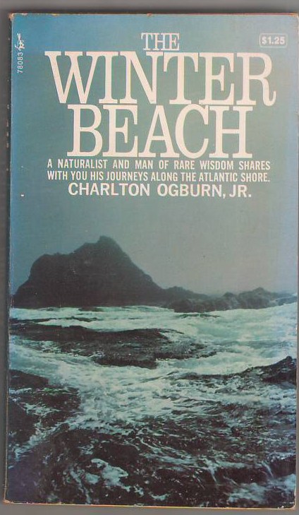 Image for The Winter Beach