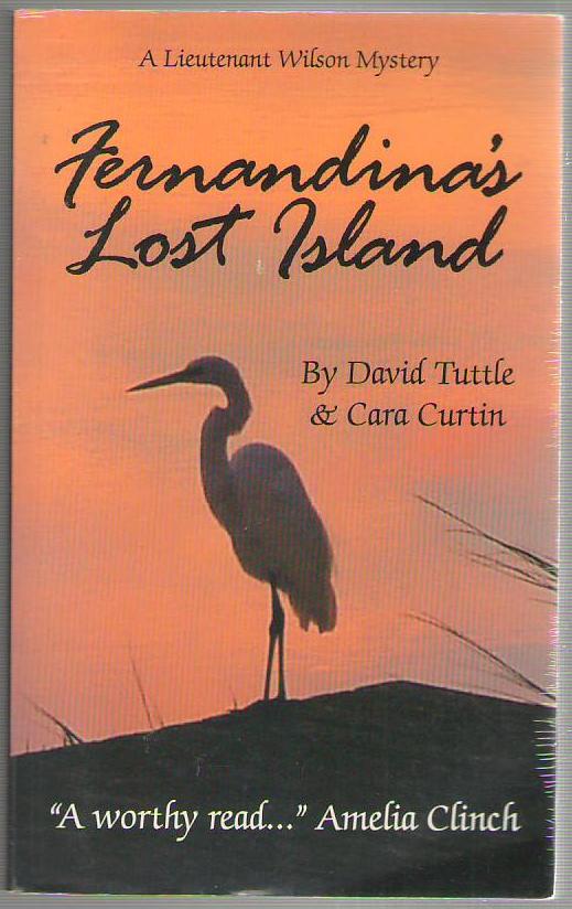 Image for Fernandina's Lost Island: A Lieutenant Wilson Mystery