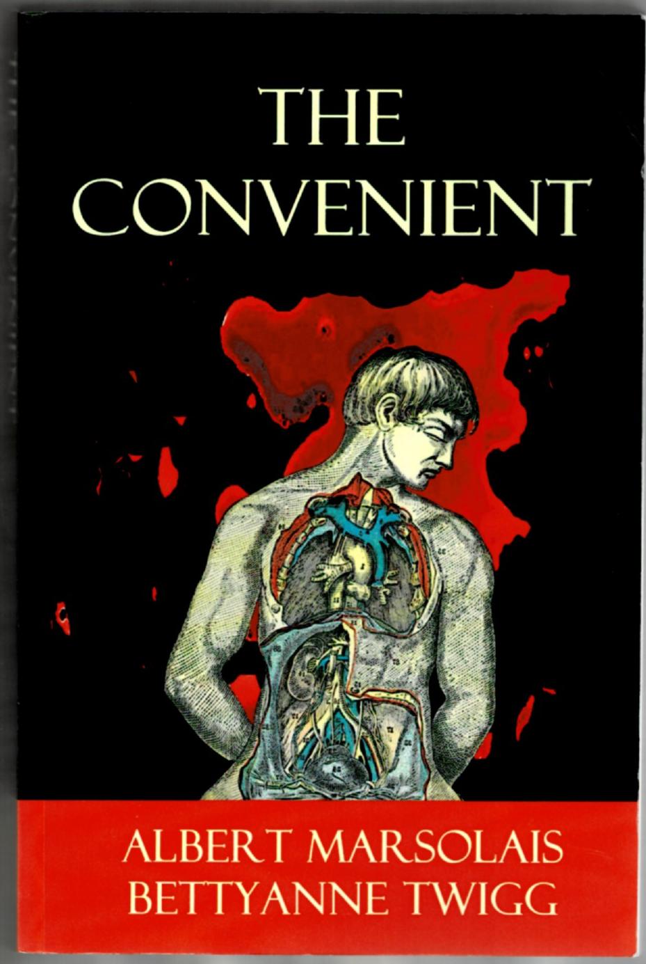 Image for The Convenient