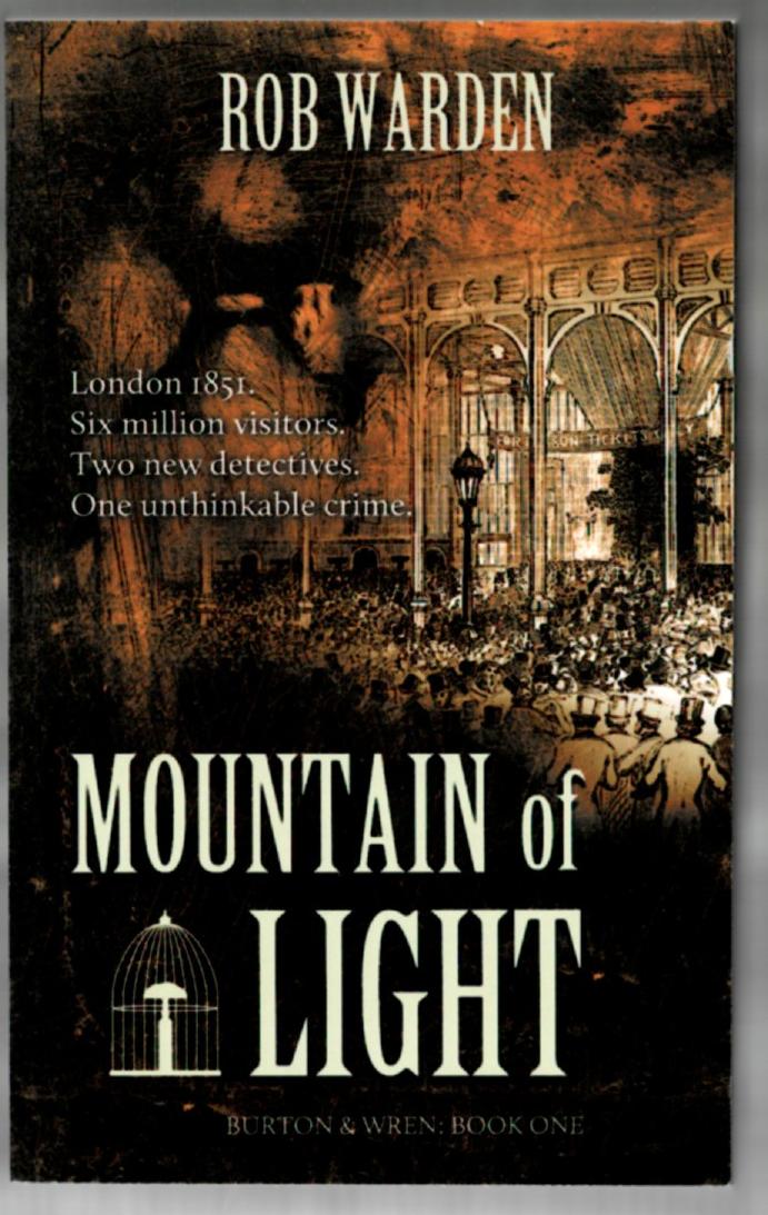 Image for Mountain of Light: Burton & Wren Book One