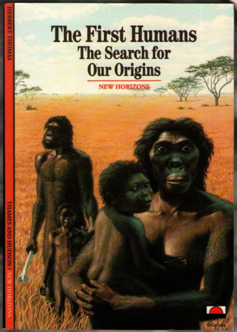 Image for The First Humans: The Search for Our Origins