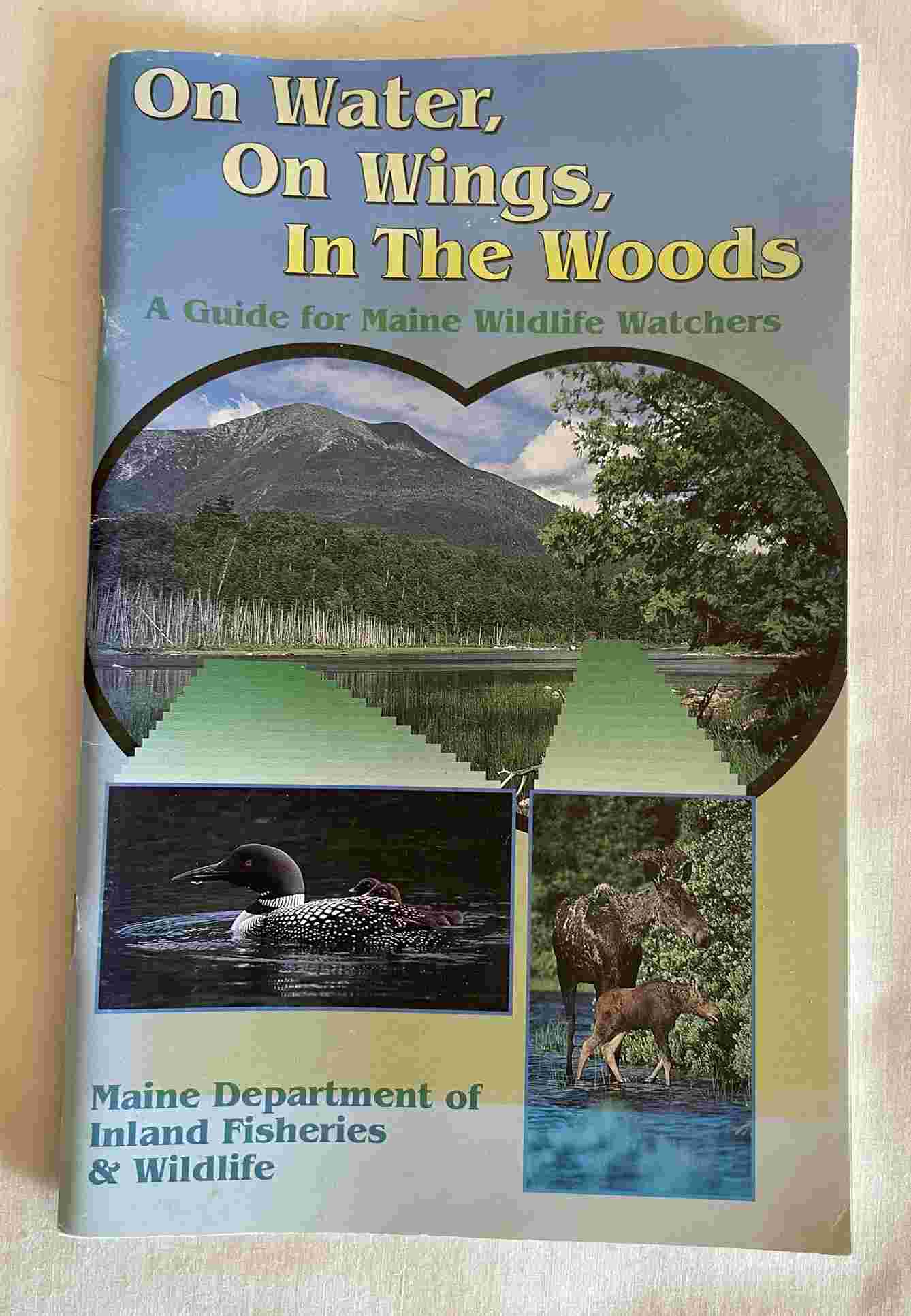 On Water, On Winds, In the Woods: A Guide for Maine Wildlife Watchers