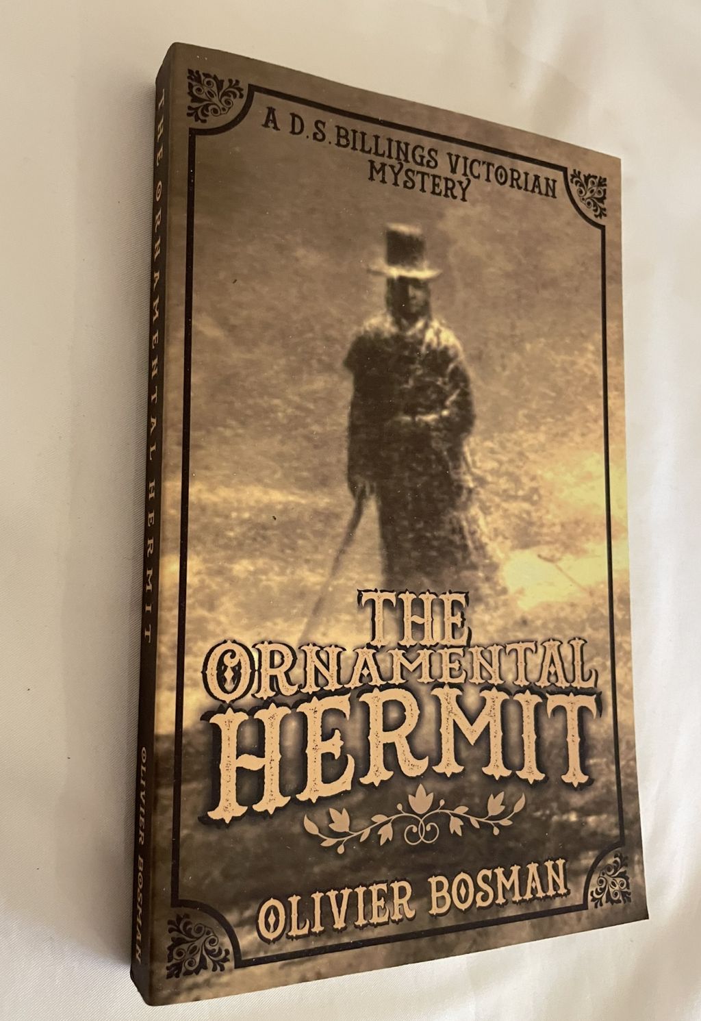 The Ornamental Hermit: A D. S. Billings Victorian Mystery