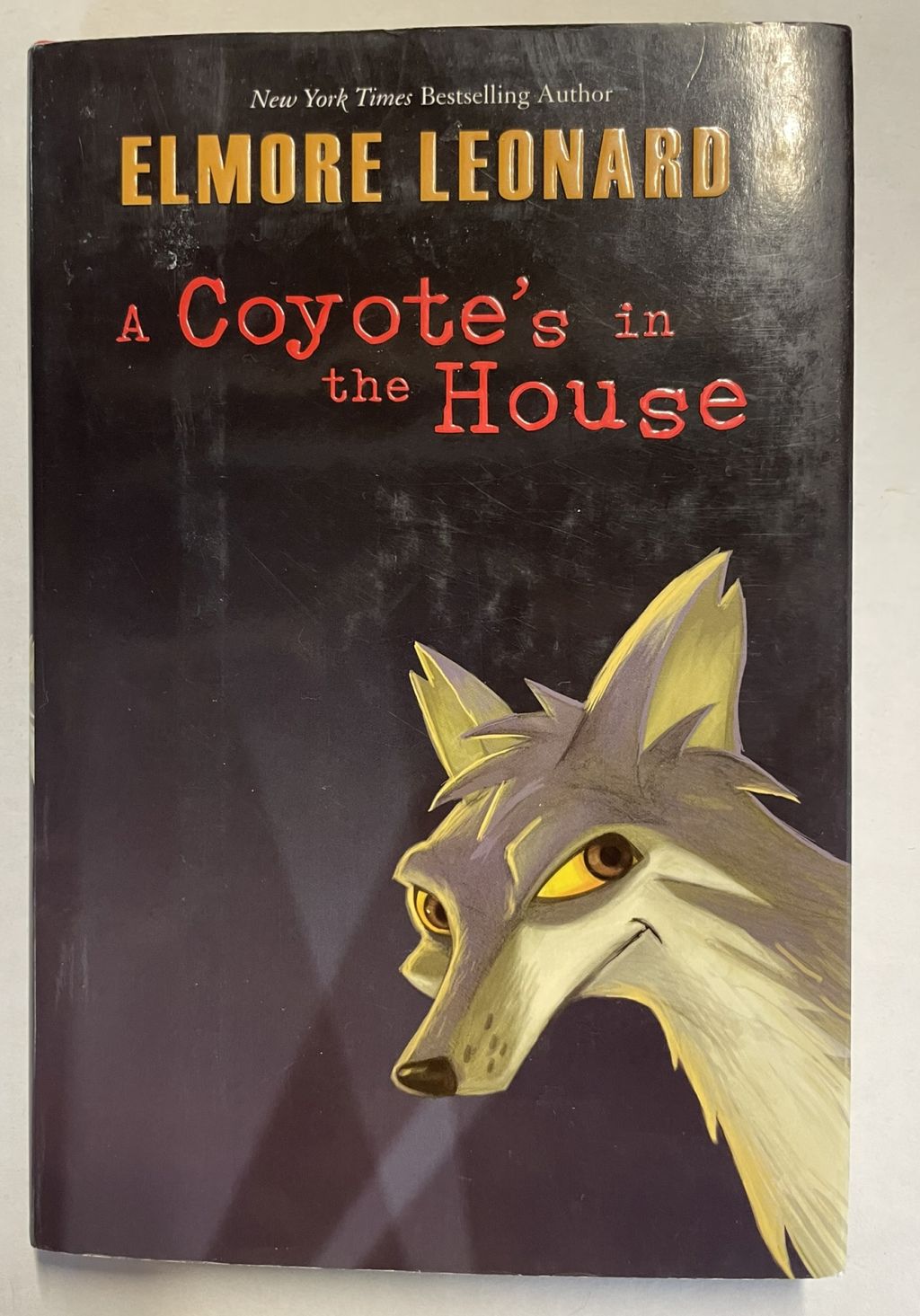 A Coyote's in the House