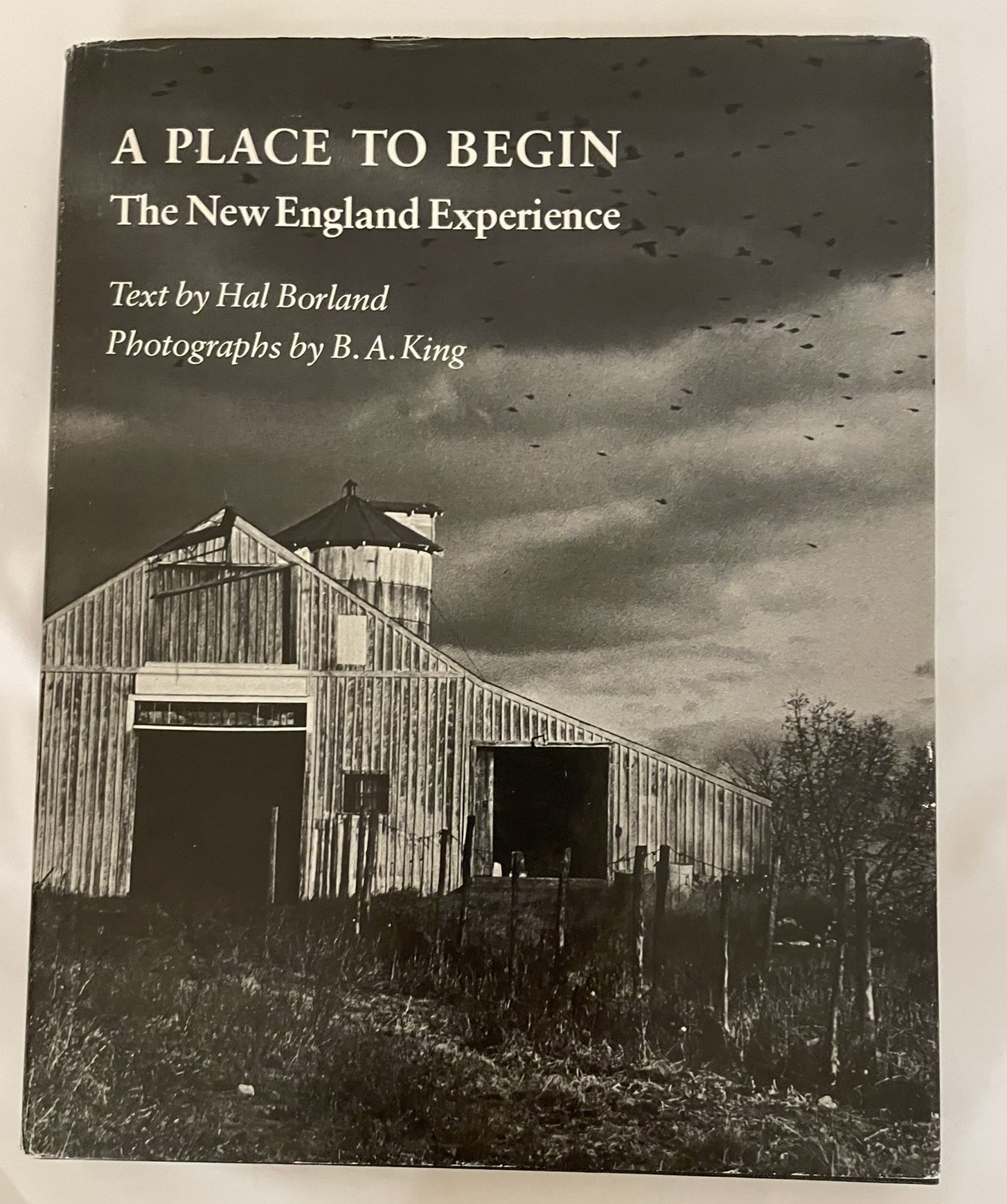 A Place to Begin: The New England Experience